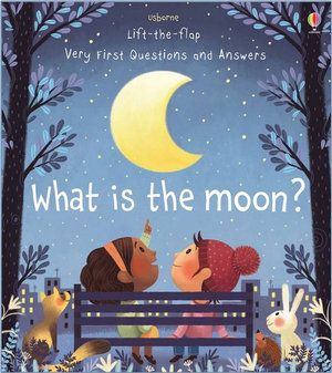 LIFT-THE-FLAP FIRST Q&A: WHAT IS THE MOON?